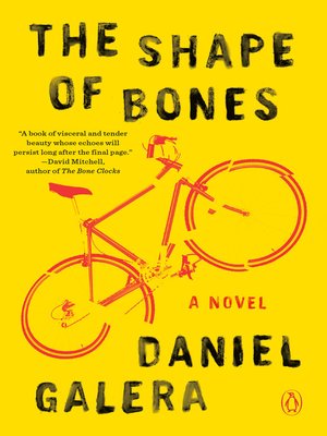 cover image of The Shape of Bones
